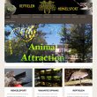 animal-attraction