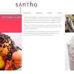 santho-holland-food