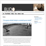 budo-in-business