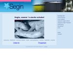 segin-interim