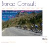 borca-consult