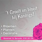 konings-bloemen-planten