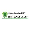 hoveniersbedrijf-bersselaar-groen