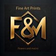 f-m-fine-art-prints